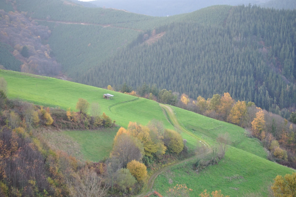 entorno natural ideal para escapada rural en Asturias