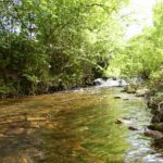 Río Yerbo, Asturias