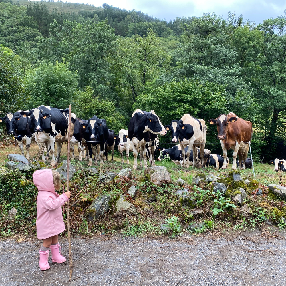 Ca Lulón Apartamentos rurales