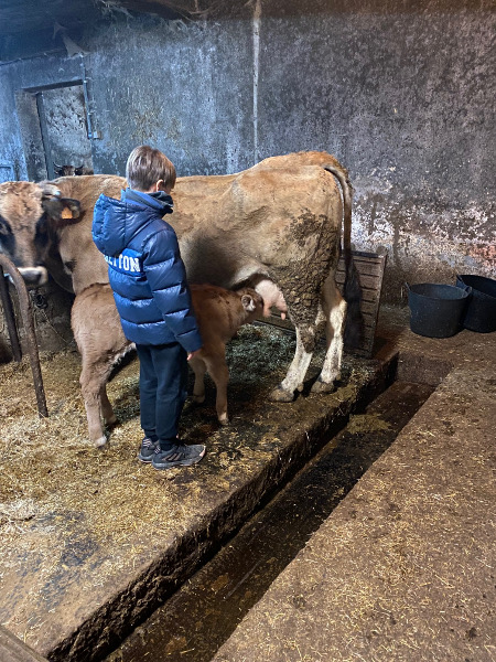 Apartamentos rurales en Asturias para familias