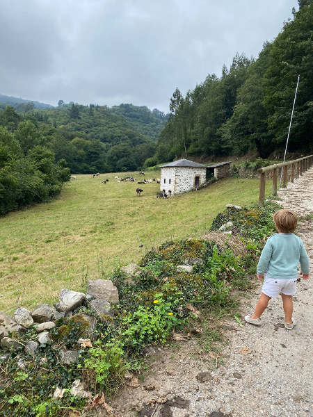 Alojamiento rural en Asturias con jardín y naturaleza
