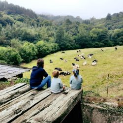 Ca Lulón - niños contemplando el paisaje
